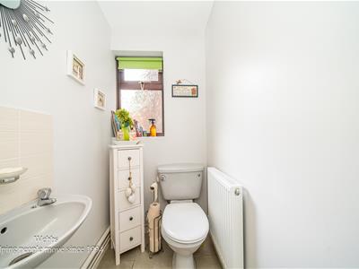 Picture 14